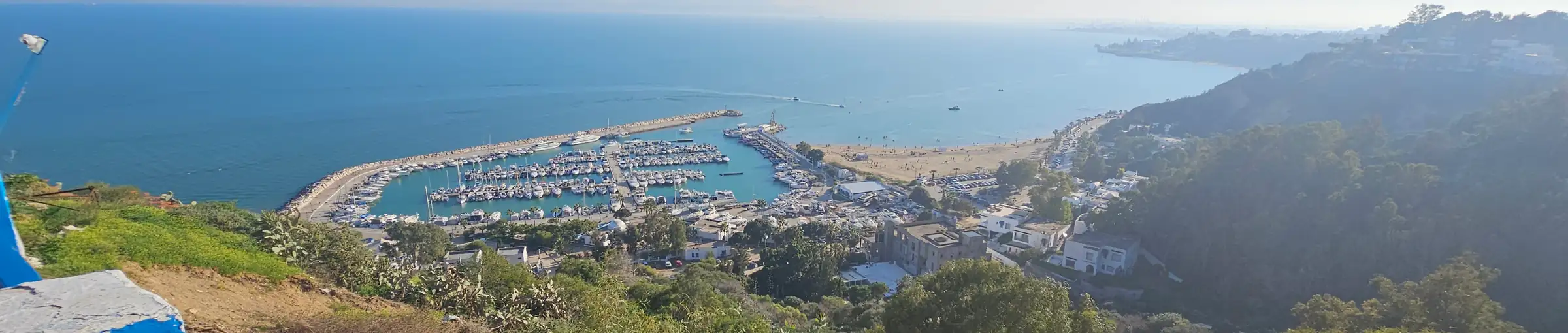 La baie et le port de plaisance de Sidi Bou Saïd vus depuis la colline, la côte au fond